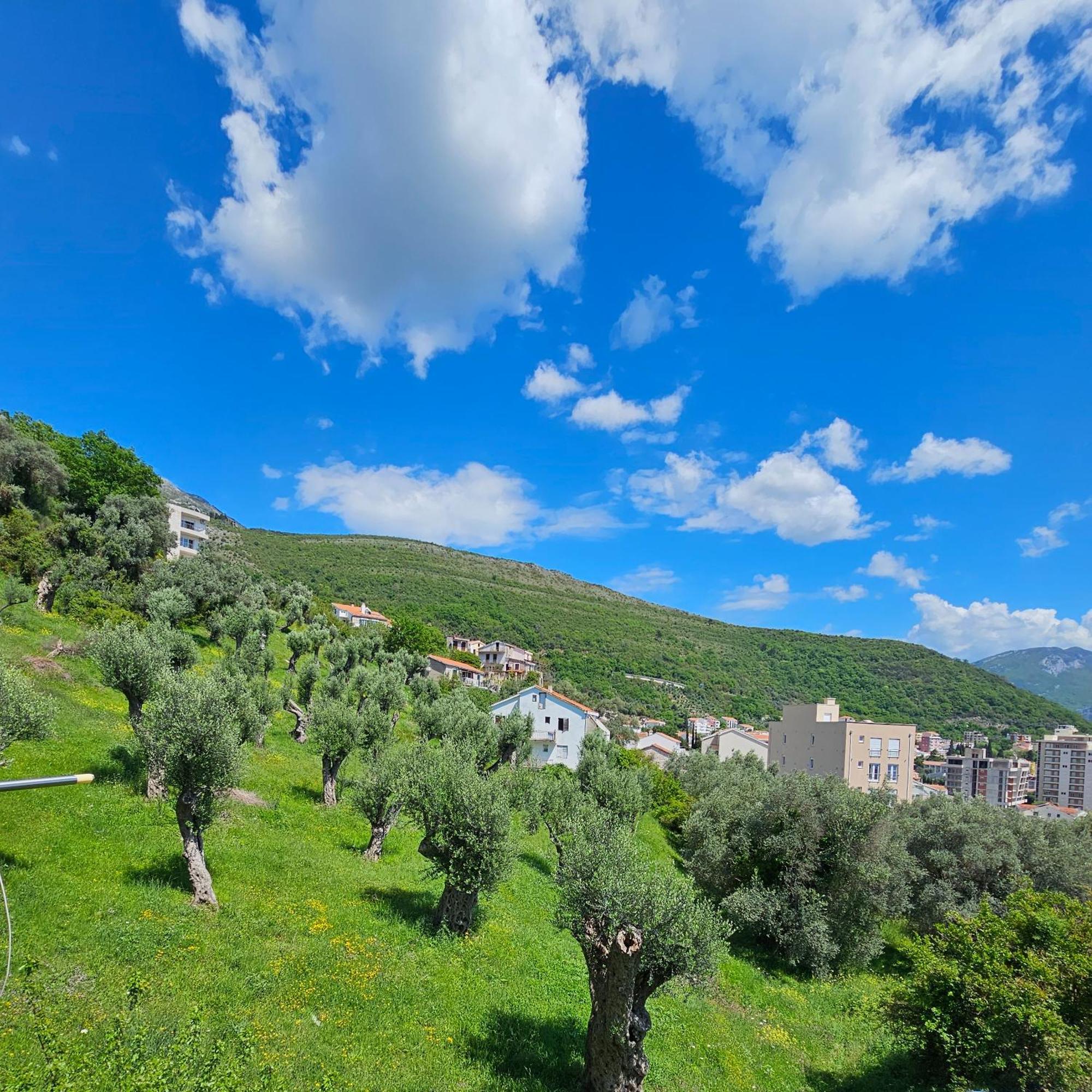 Medin Apartments Bluvista Petrovac na moru Exterior foto