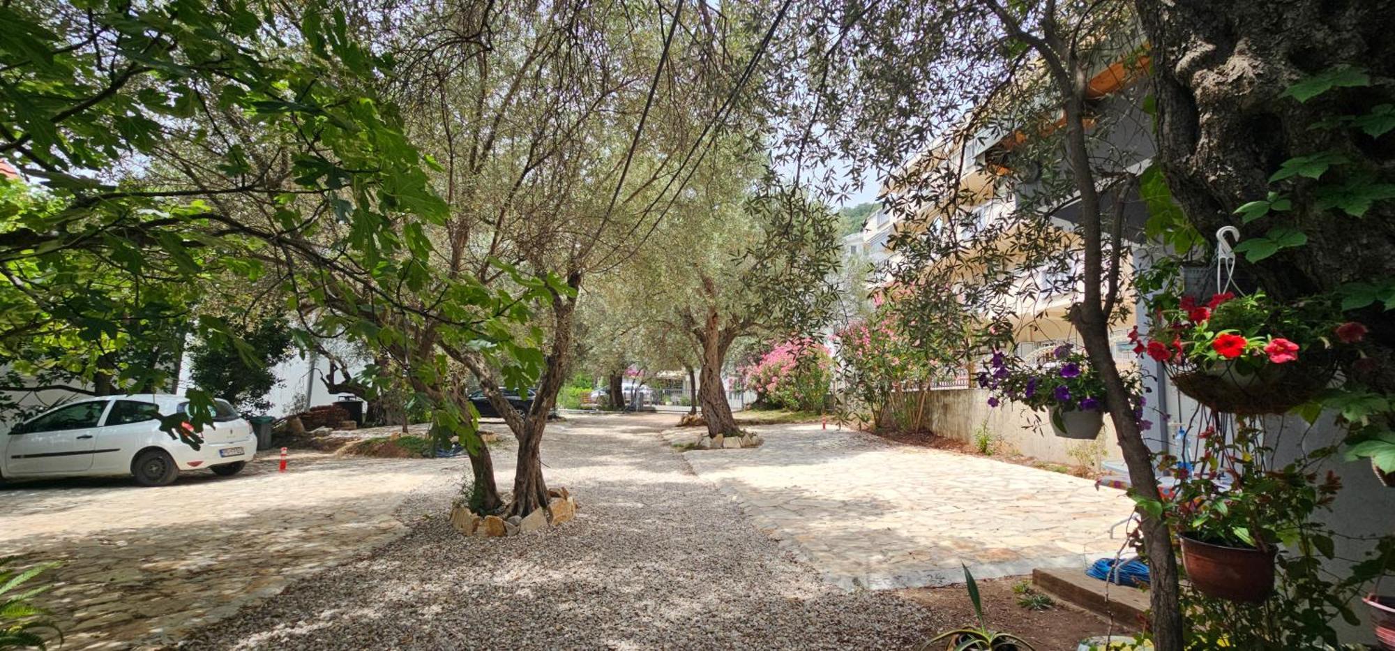 Medin Apartments Bluvista Petrovac na moru Exterior foto